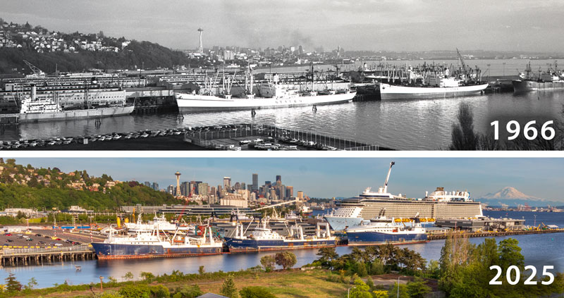 Two images of the Terminal 91 docks. The one on top is from 1966; the bottom one is from 2025.