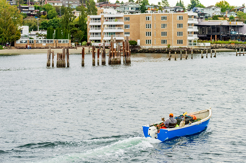 Boat motors near the Ballard Locks.