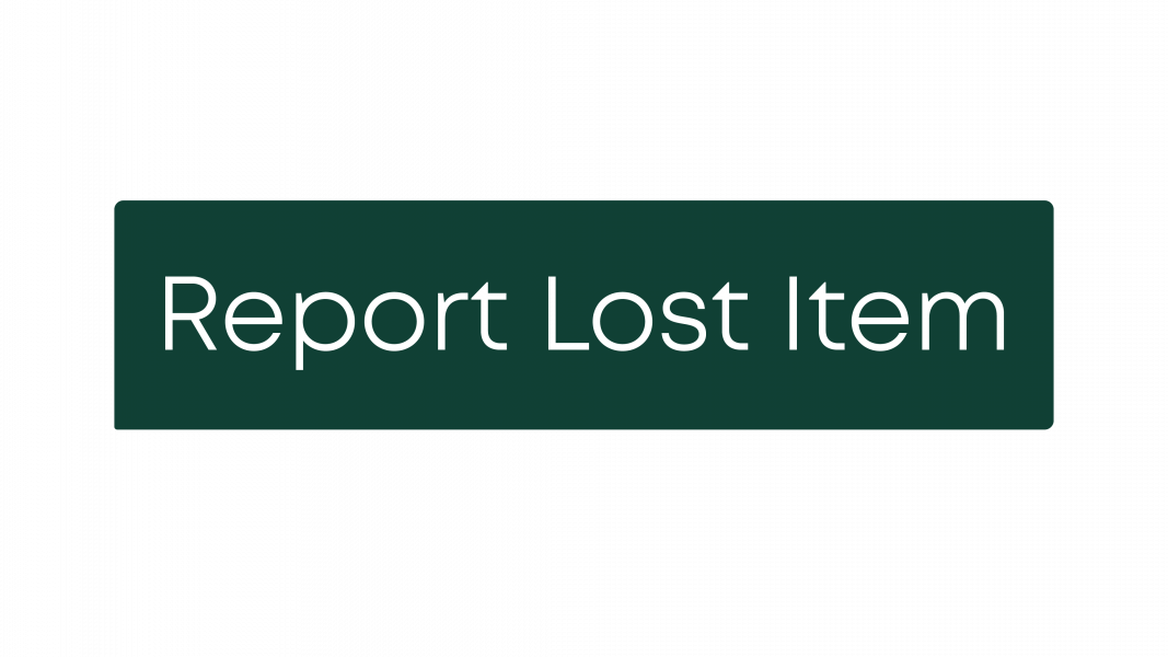 Report Lost Item