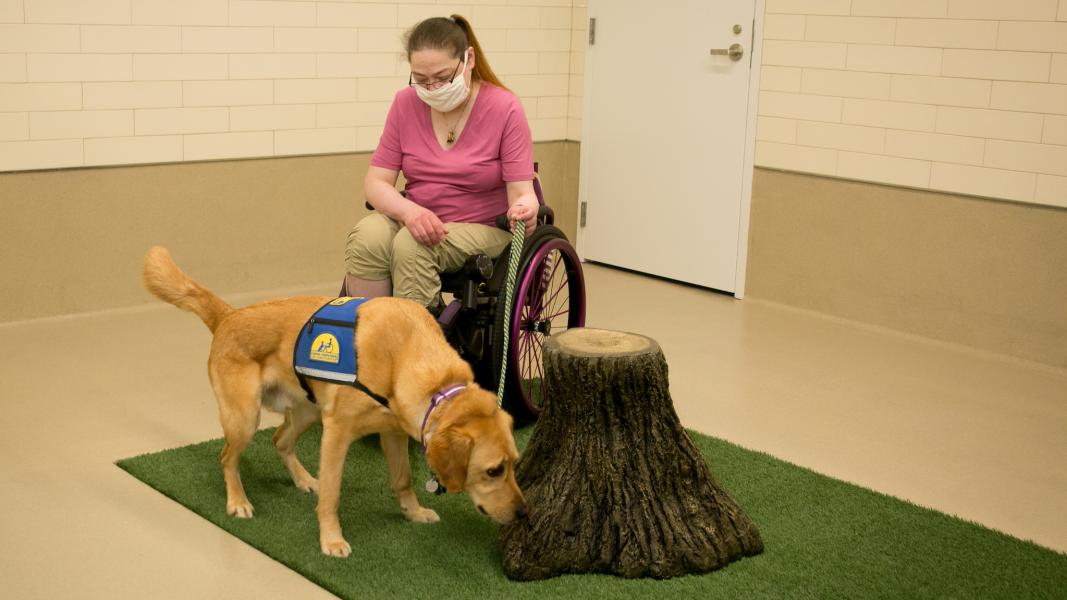 Guide dog and handler inside the new North Satellite pet relief area