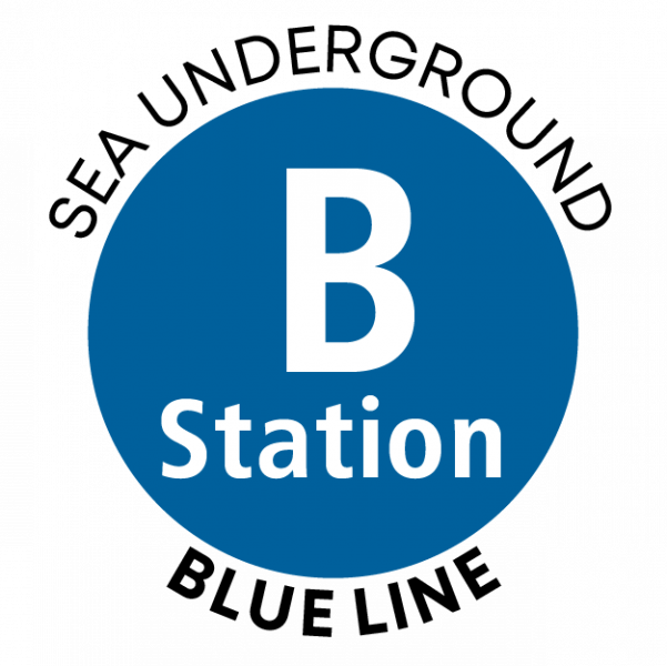 B Station