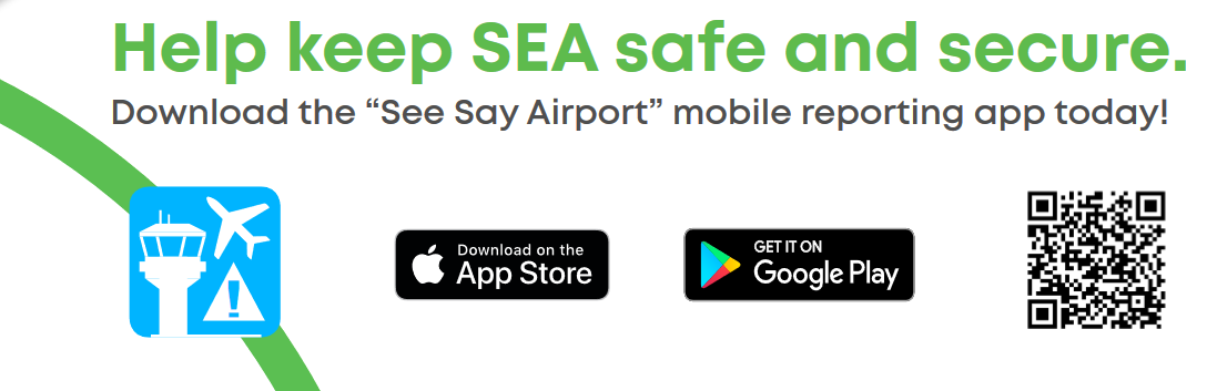 See Say Airport Download