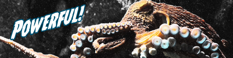Giant Pacific Octopus Header