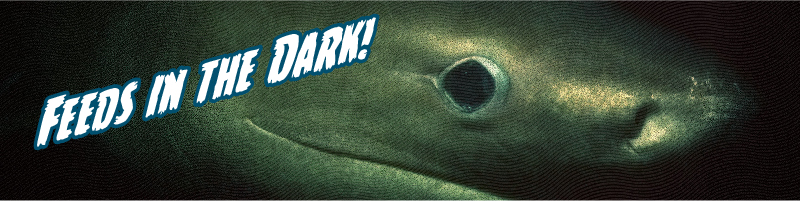 SixGill Shark Header