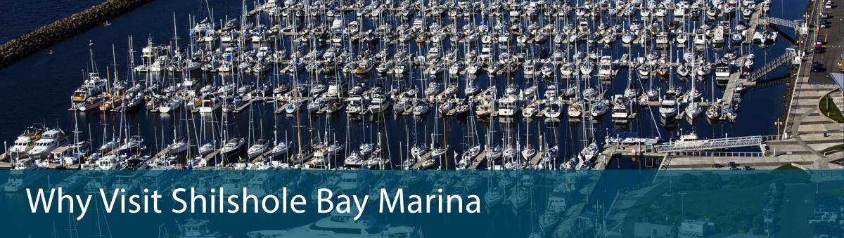 Why you should visit Shilshole Bay Marina