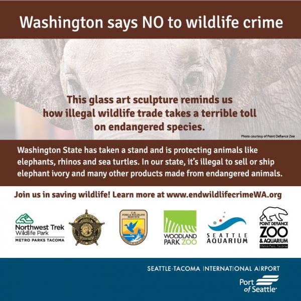 Washington says no to wildlife crime.