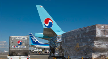 cargo planes at SEA