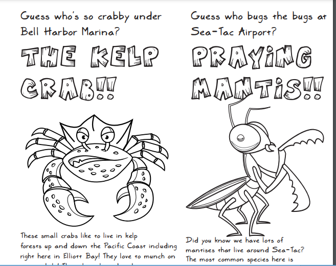 page from a coloring book with a drawing of a crab