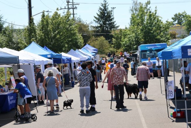 Community visits booths at the Duwamish River Festival.