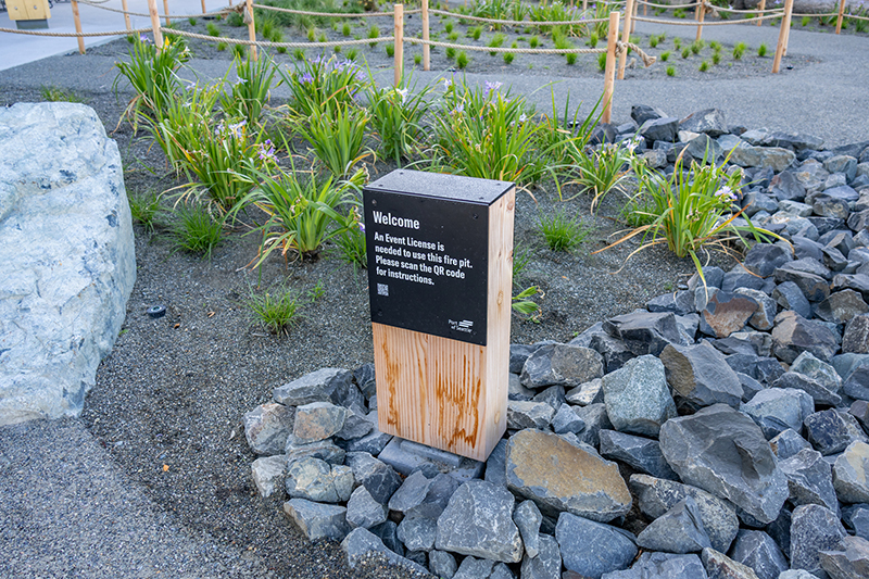 Native plants outside the amenities building.