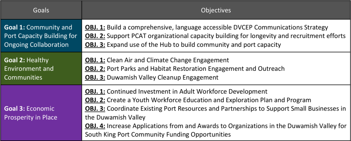 Table showing objectives listed under each goal to advance the DVCEP