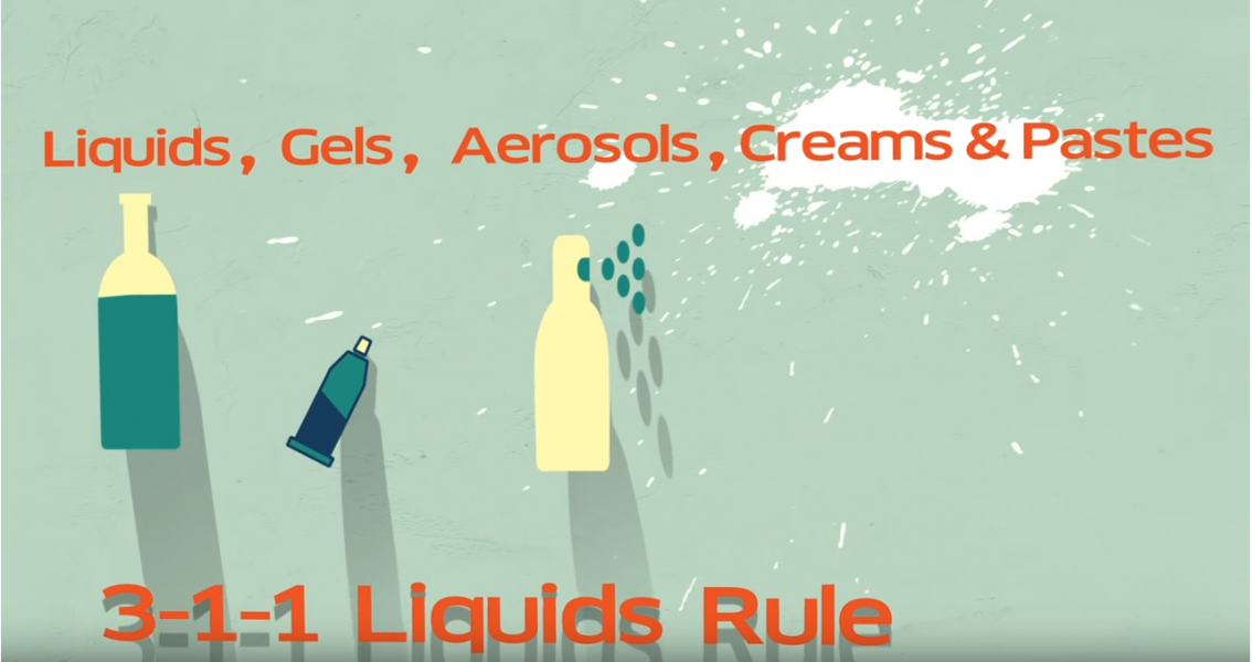 https://www.portseattle.org/sites/default/files/inline-images/liquids%20rule.PNG