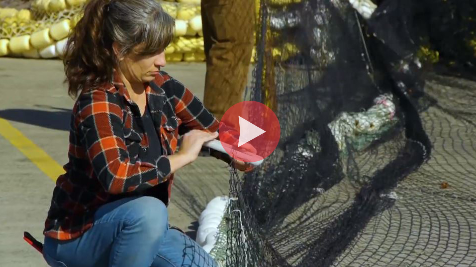 Woman mending comercial fishing nets on a sunny day, Fall, 2019