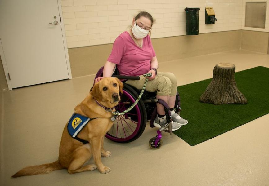 Service dog with its owner in the pet relief area