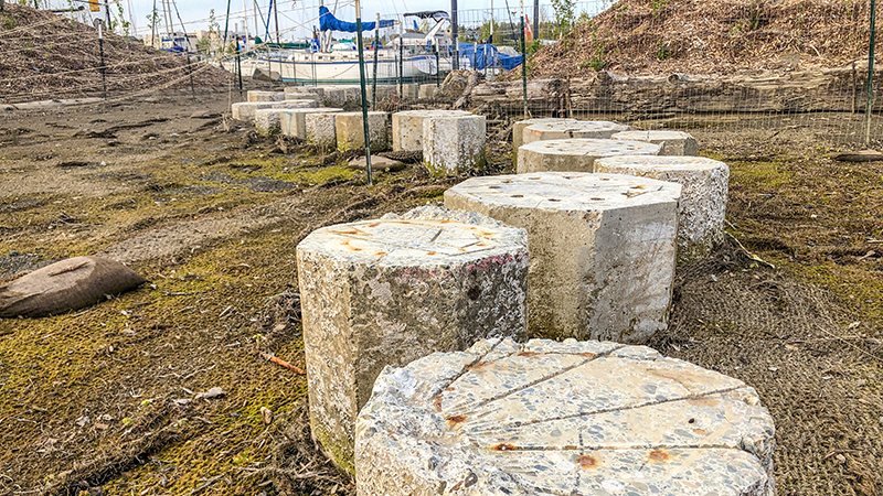 Stepping stones at DRPP made from concrete pilings