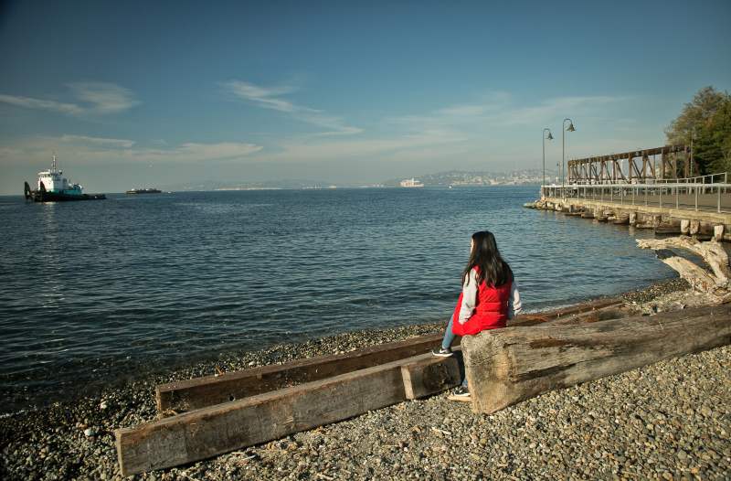 Puget Sound and ships from Jack Block Park