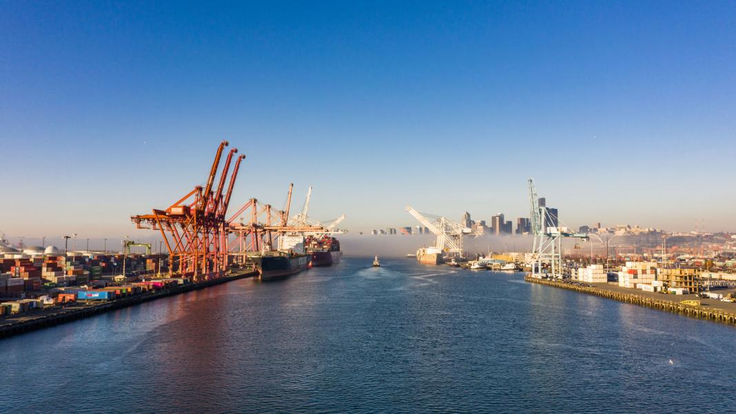 Downtown Seattle and cranes at the Port