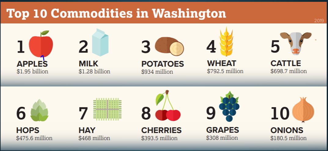Top Crops in Washington State graphic