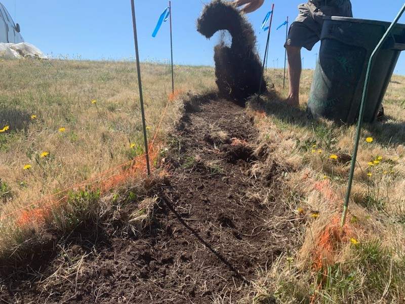 Digging the grass from the crack