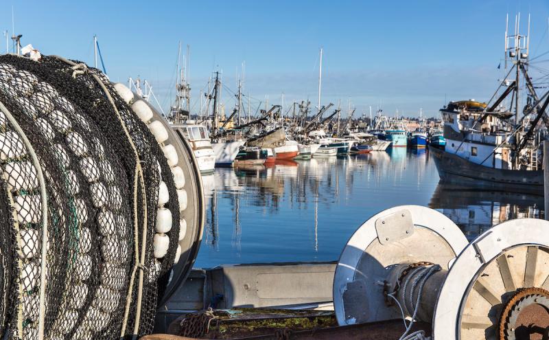 Five Fast Facts about Commercial Fishing