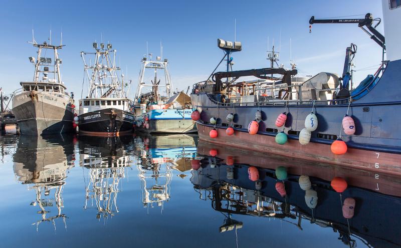 Commercial Fishing Feeds the World during COVID-19