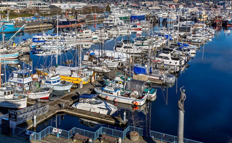 Fishermen's Terminal (home port of the North Pacific fishing fleet) photo 2
