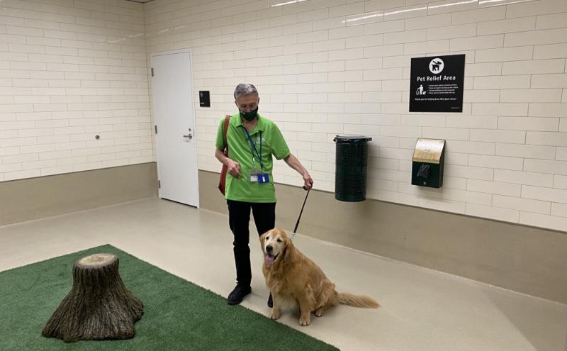Traveling with Pets and Service Animals | Port of Seattle
