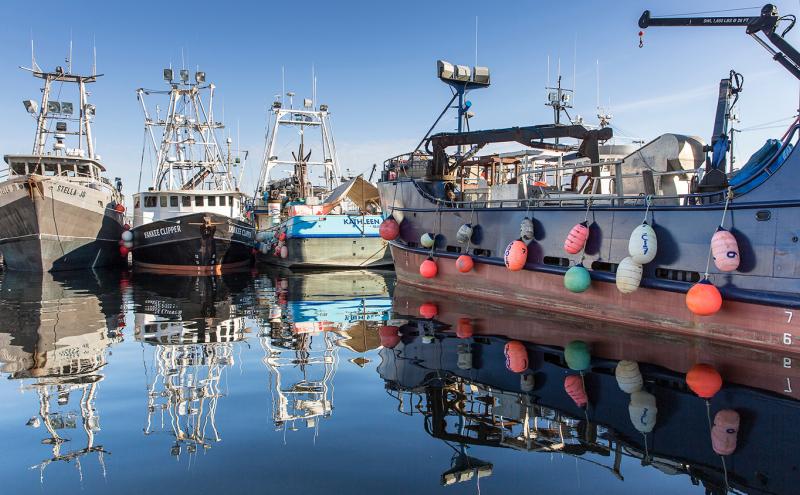 New Study Details Washington Maritime’s Economic Punch | Port of Seattle