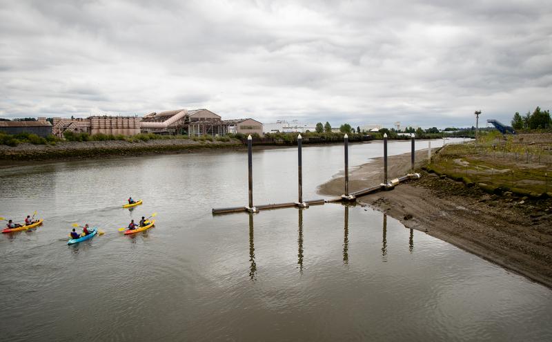 Kayakers on the Duwamish River by Duwamish River People's Park.