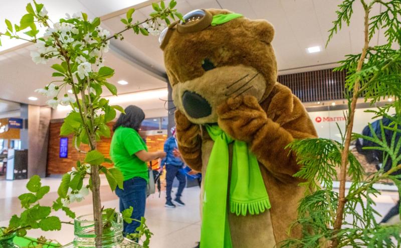 Jett the SEA Otter is amazed by the Earth Day plants in the terminal