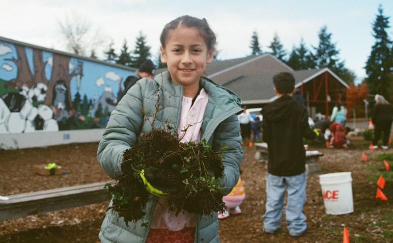 An Seahurst Elementary student works in a rain garden at the school
