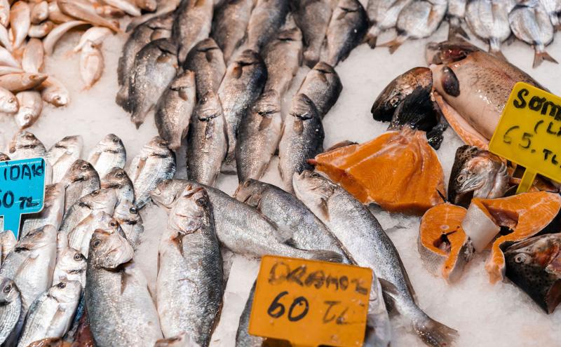 Fresh fish on display at a fish market