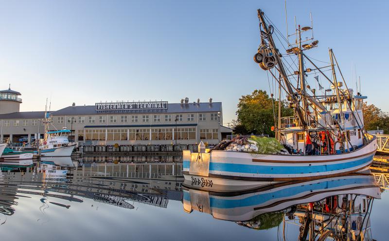Boat on water in marina at Fishermen's Terminal