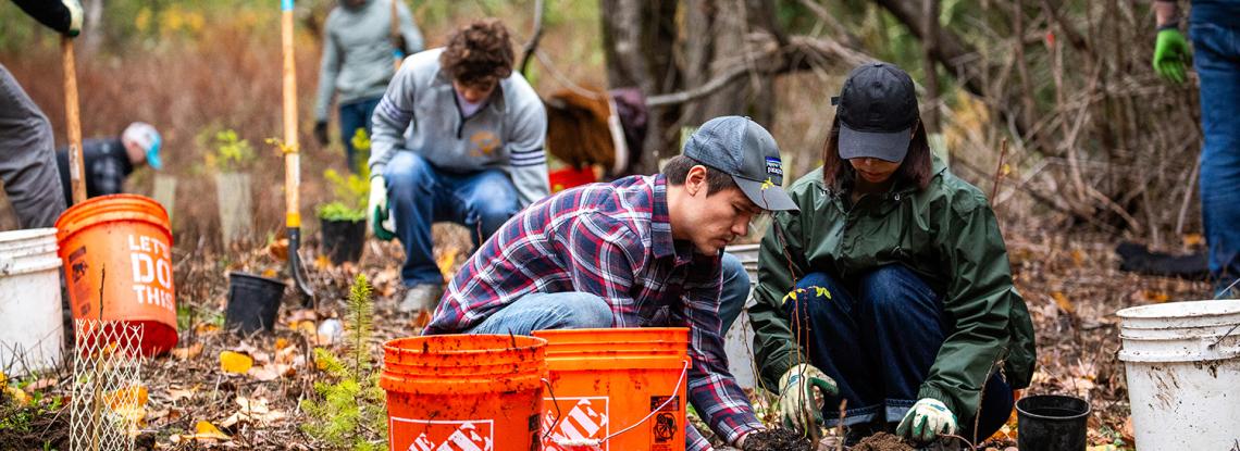 SEA mitigation site planting event