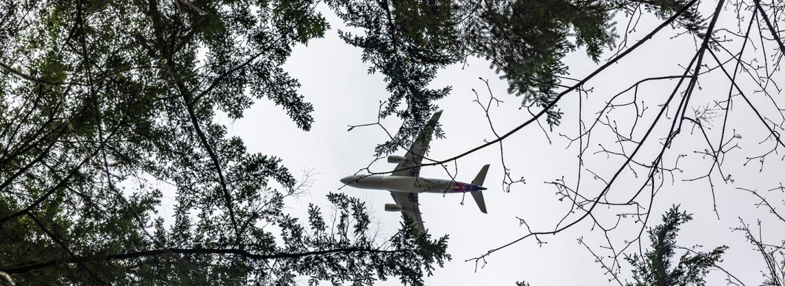 Plane flies overhead.