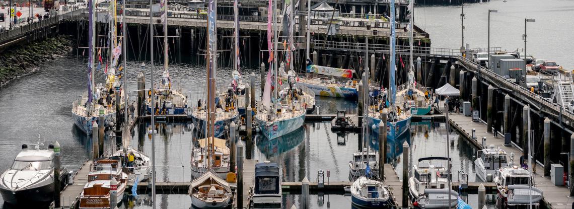 Boats at Bell Harbor Marina