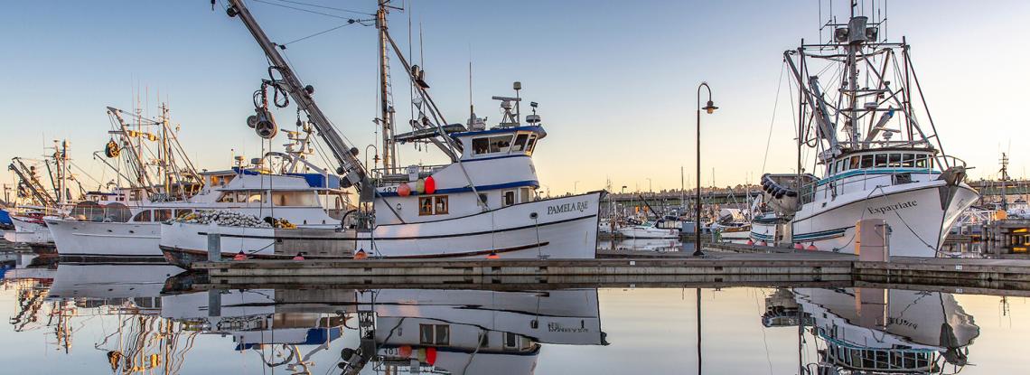 Fishing boats moored at Fishermen's Terminal