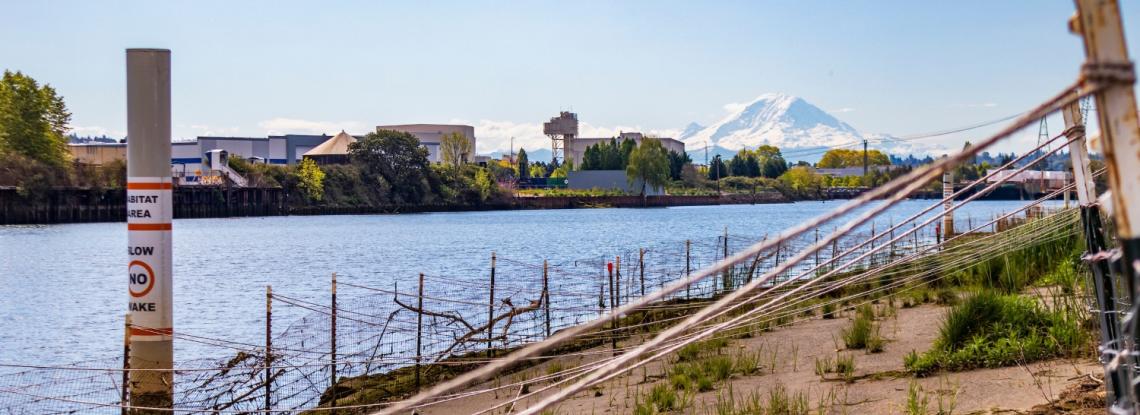 Mt. Rainier from the Duwamish River people's Park 