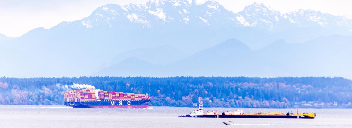 Container ships in Elliott Bay with mountains in the distance