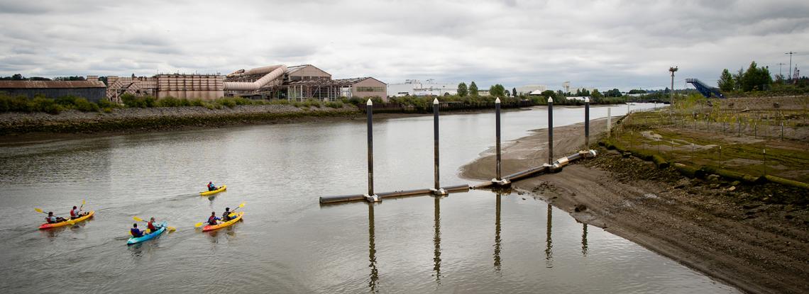 Kayakers on the Duwamish River by Duwamish River People's Park.
