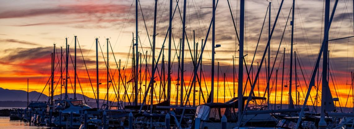 Sunset behind sailboat masts