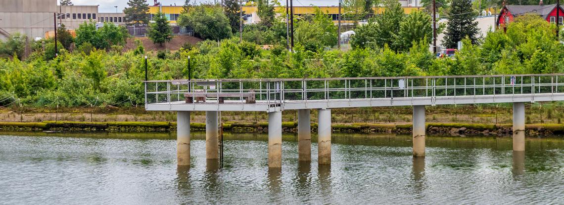 Internships Improve the Lives of Duwamish Youth