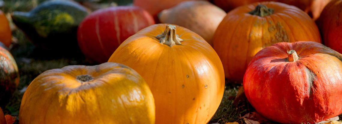 Celebrate Fall Flavors at SEA