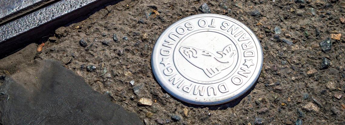 Maritime Stormwater Program