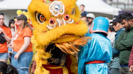 Tourism Marketing Support Program