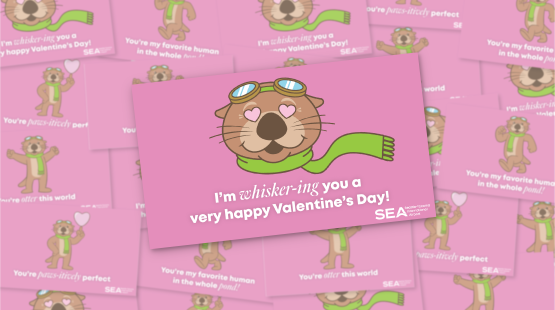 Valentine's Day at SEA 