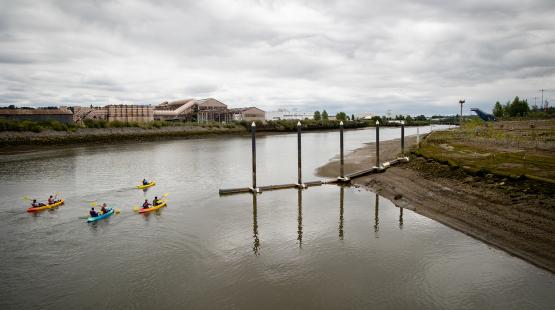 How to Save the Earth Every Day (As a Neighbor)