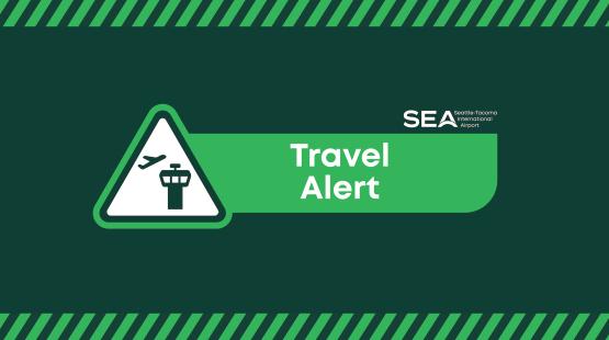 Travel Alert — Security Information for Travelers