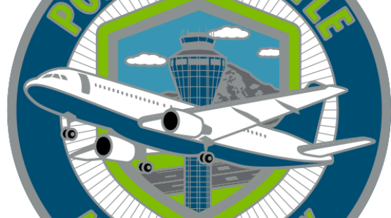 Aviation Security Operations