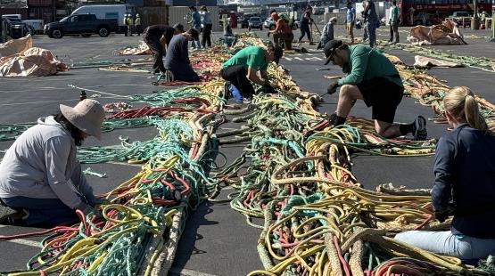 Partnership Takes Net Recycling to the Next Level